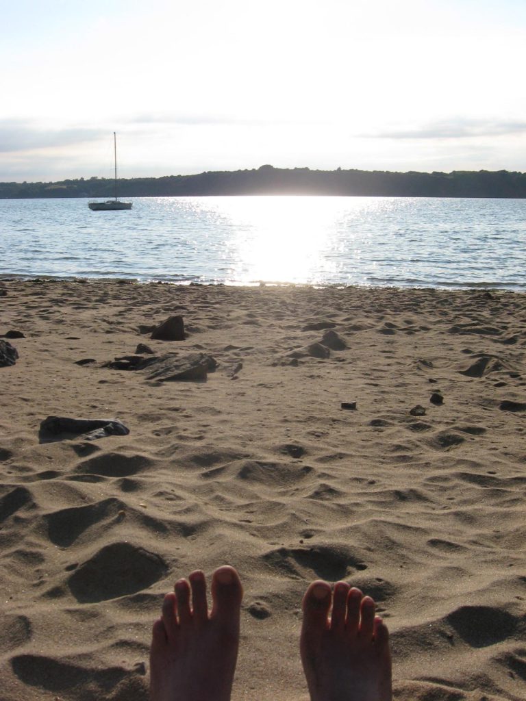 pied en éventail sur la plage proche du camping
